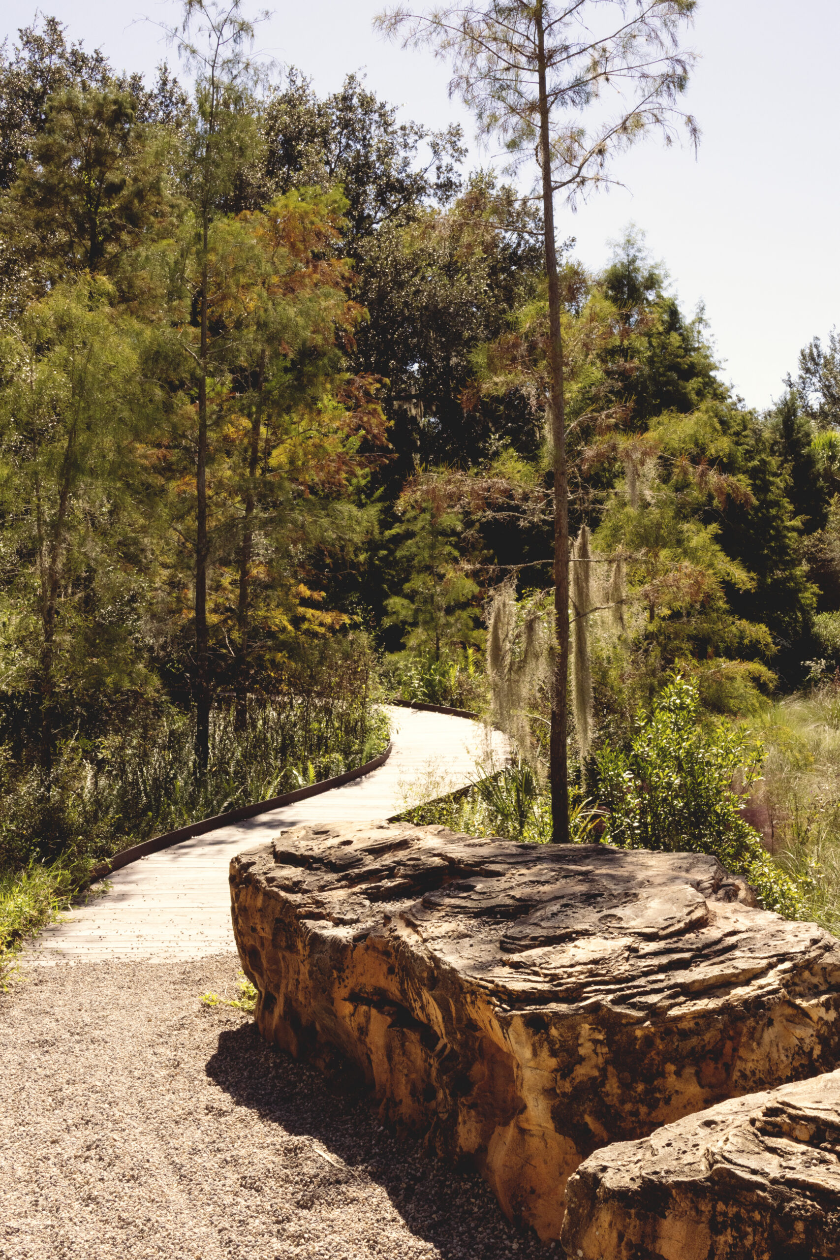 winding path